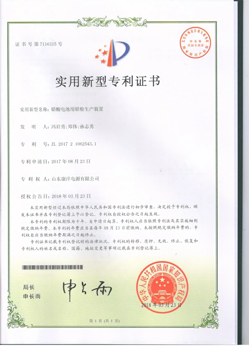 Patent certificate 13